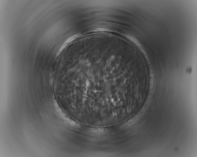 X0000113620945200910021824