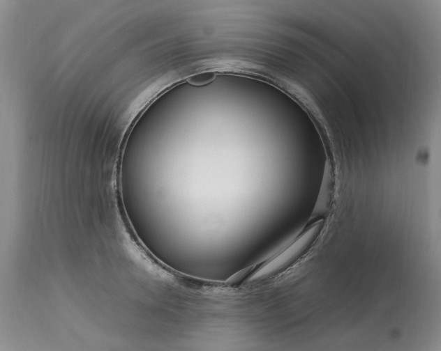 X0000113620946200910021824