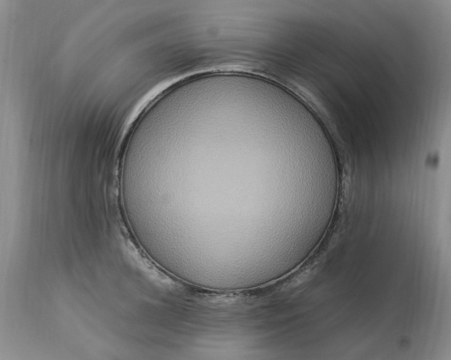 X0000113620948200910021824