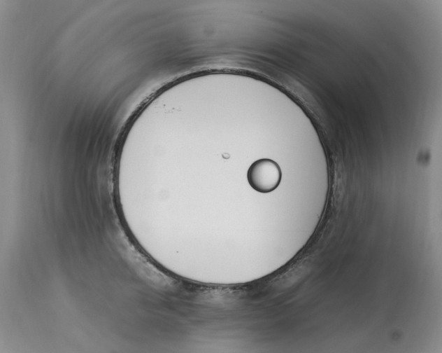 X0000113620950200910021824