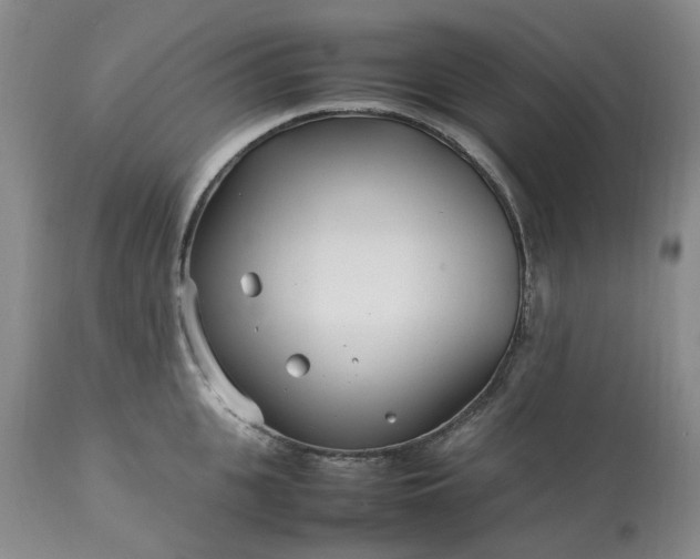 X0000113620951200910021824