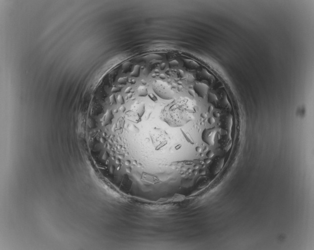 X0000113620953200910021824