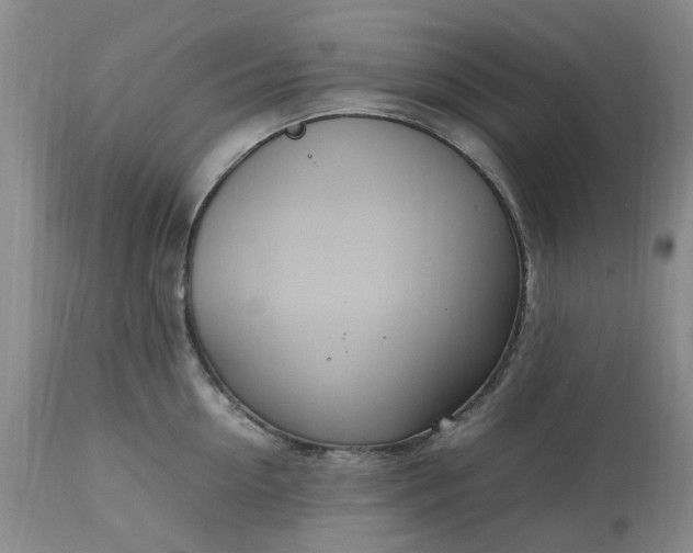 X0000113620954200910021824