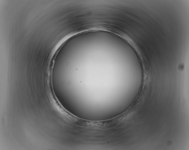 X0000113620955200910021824