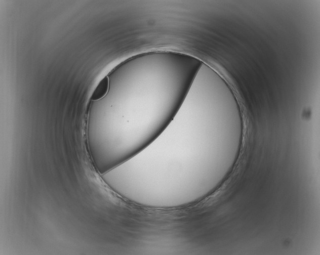 X0000113620956200910021824