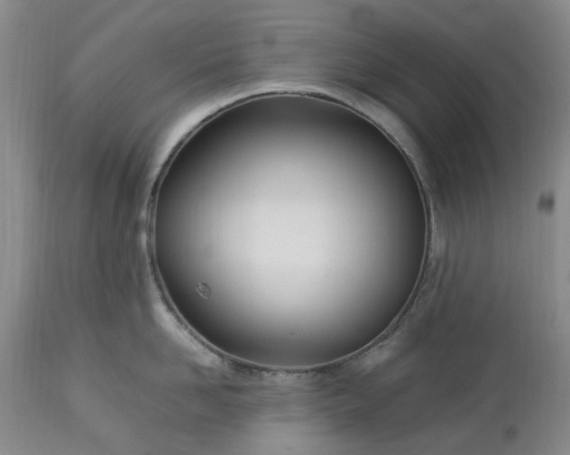 X0000113620958200910021824