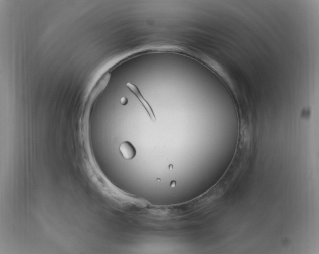 X0000113620959200910021824