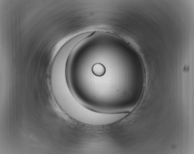 X0000113620960200910021824