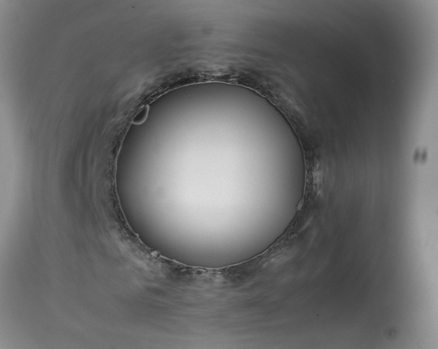 X0000113620961200910021824