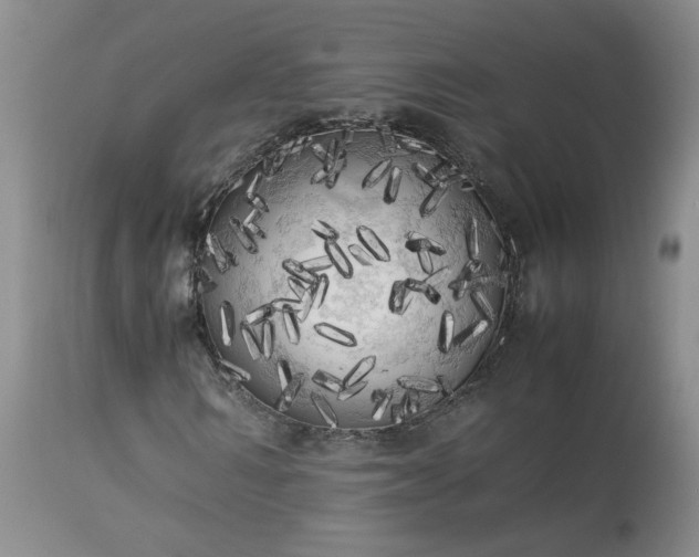 X0000113620962200910021824