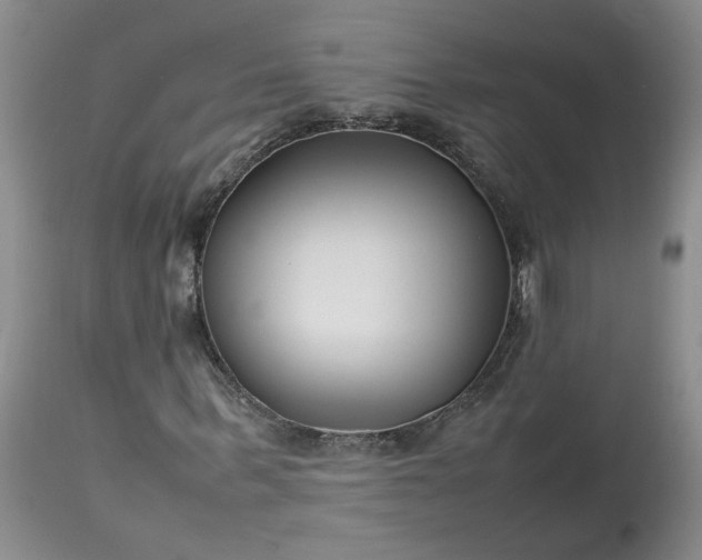 X0000113620963200910021824