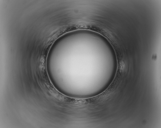 X0000113620964200910021824