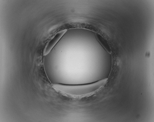 X0000113620965200910021824