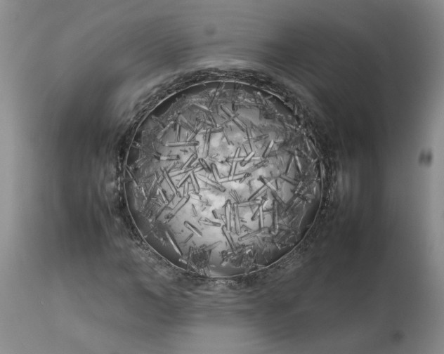 X0000113620966200910021824