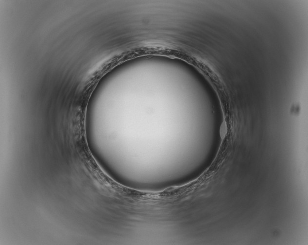 X0000113620968200910021824