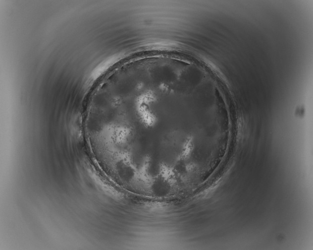 X0000113620970200910021824