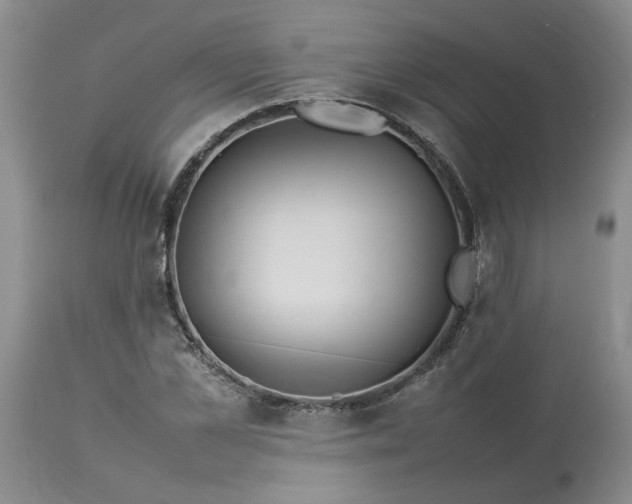 X0000113620973200910021824