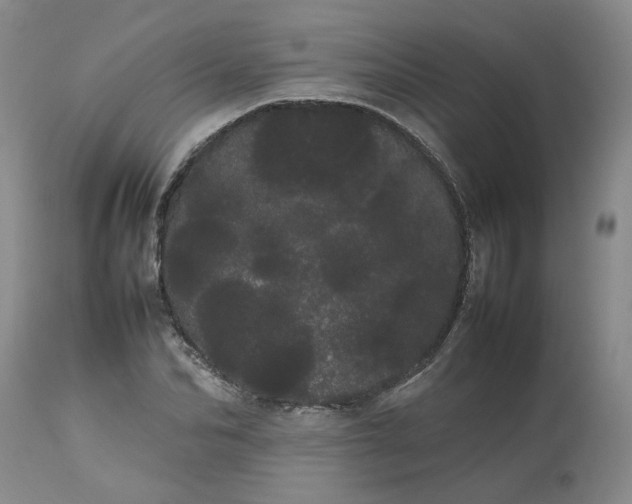 X0000113620974200910021824