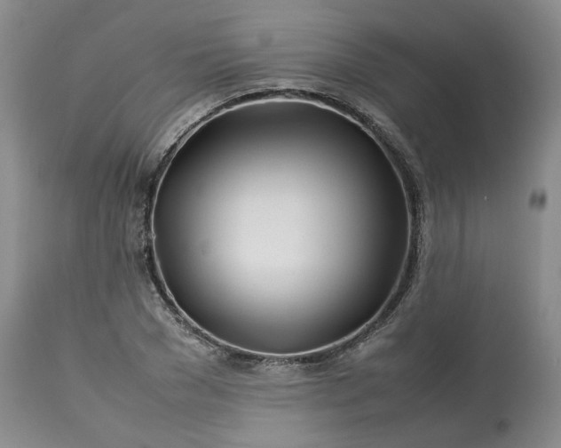 X0000113620977200910021823