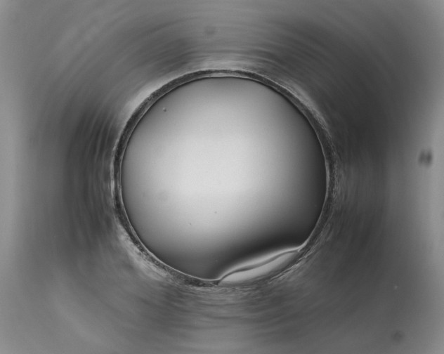 X0000113620980200910021823