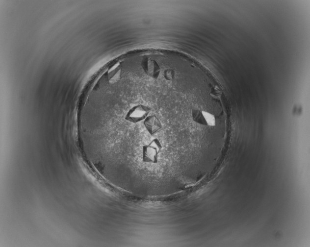 X0000113620982200910021823