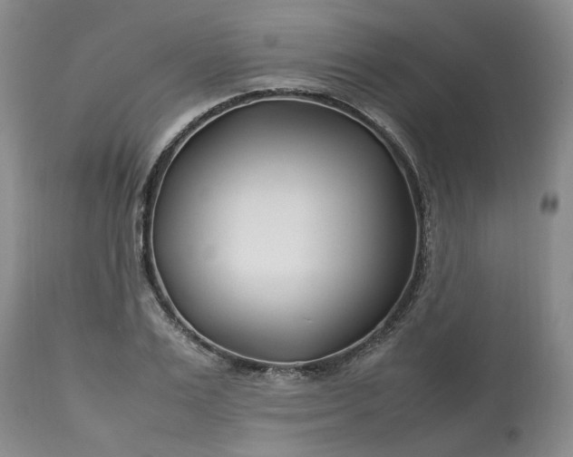 X0000113620983200910021823