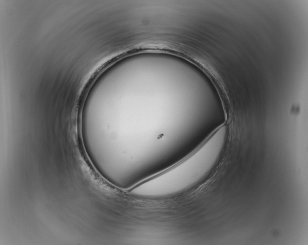 X0000113620984200910021823