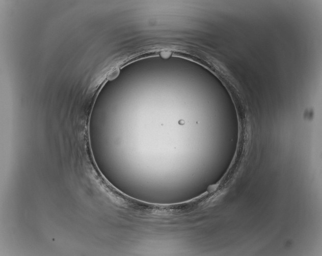 X0000113620985200910021823