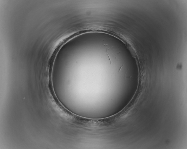 X0000113620987200910021823