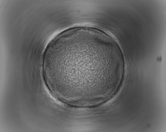 X0000113620989200910021823