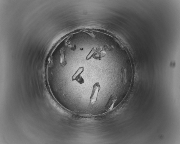 X0000113620990200910021823