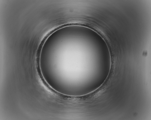 X0000113620991200910021823