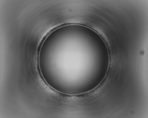 X0000113620992200910021823