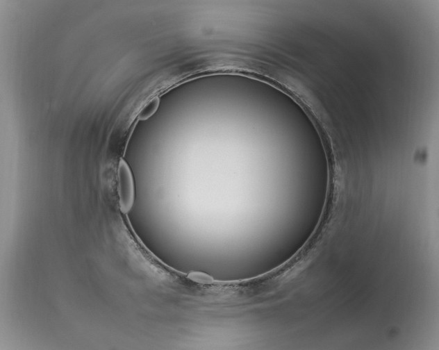 X0000113620993200910021823