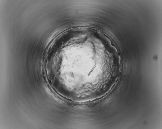 X0000113620994200910021823