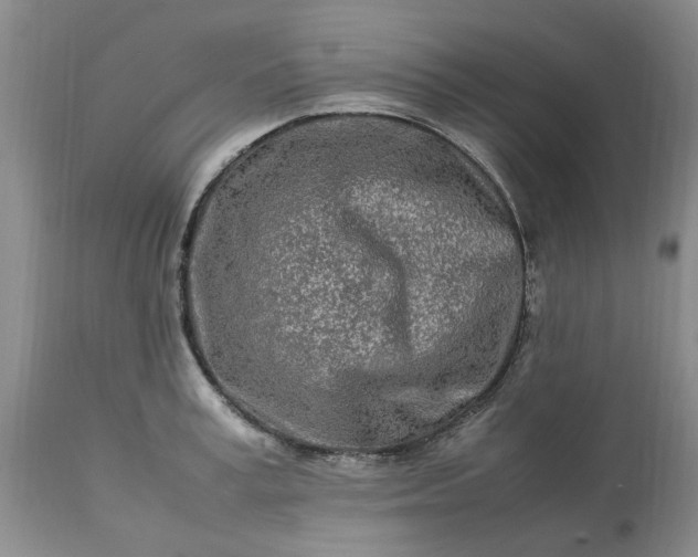 X0000113620995200910021823