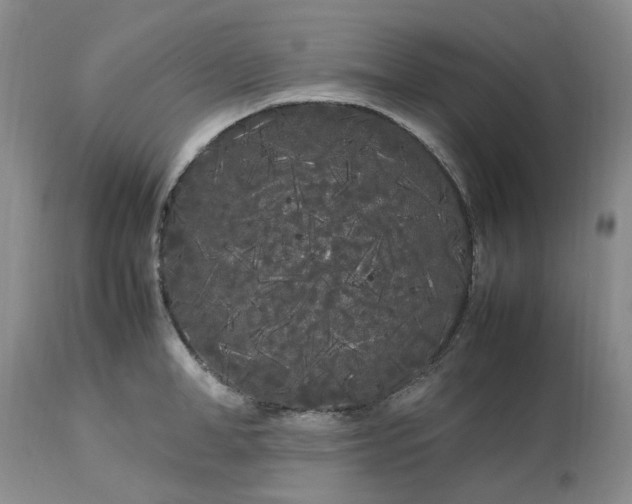 X0000113620998200910021823