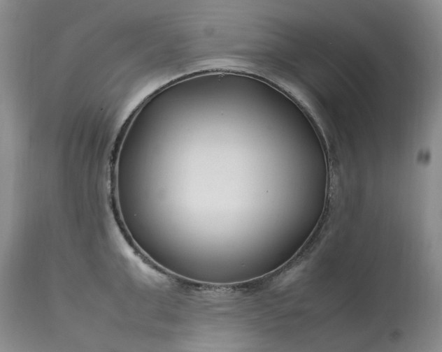 X0000113620999200910021823