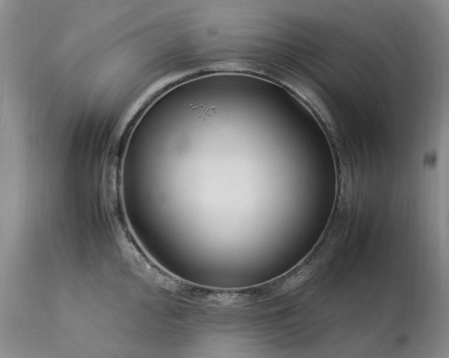 X0000113621000200910021823