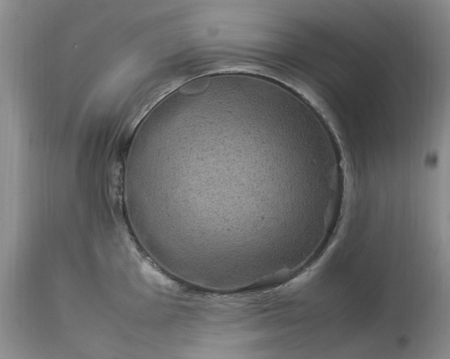 X0000113621001200910021823