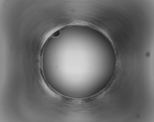 X0000113621003200910021823