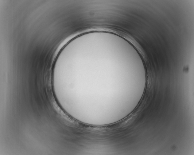 X0000113621004200910021823