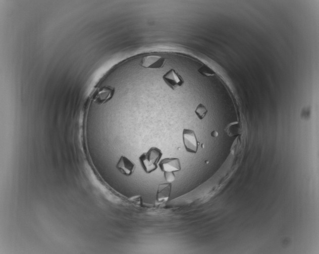 X0000113621006200910021823