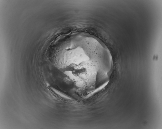 X0000113621009200910021822