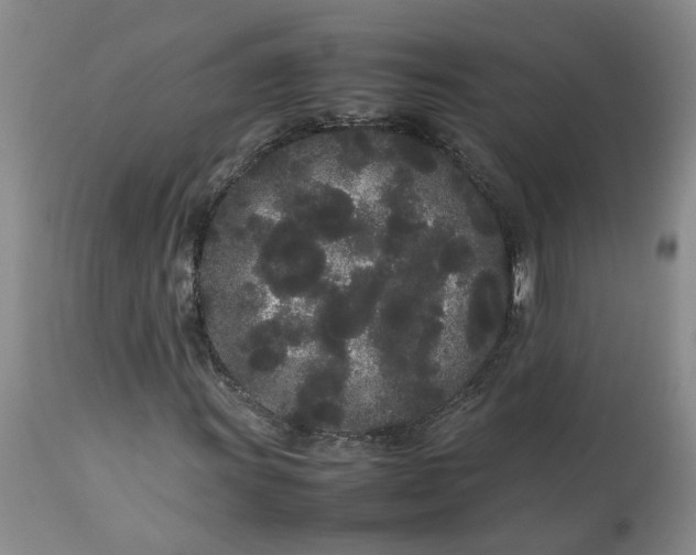 X0000113621011200910021822