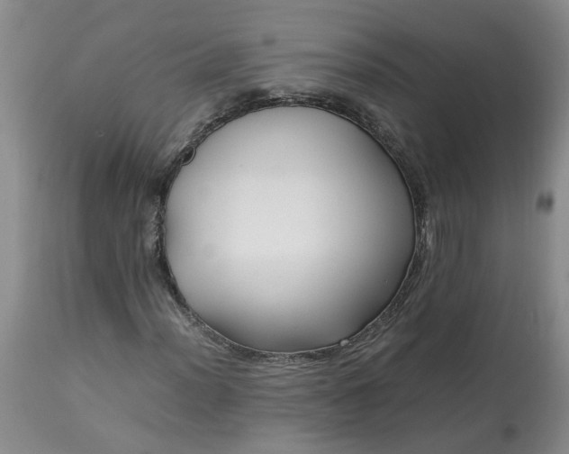 X0000113621012200910021822