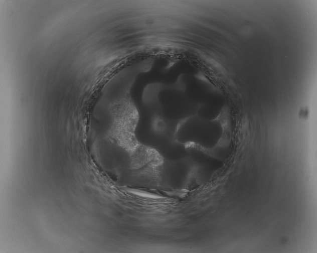 X0000113621013200910021822