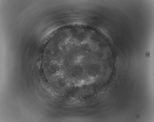 X0000113621015200910021822