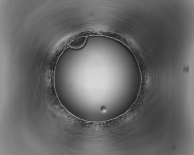 X0000113621016200910021822