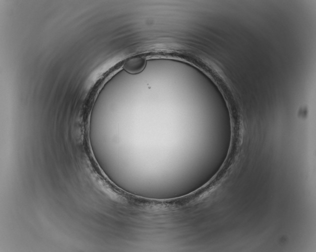 X0000113621018200910021822